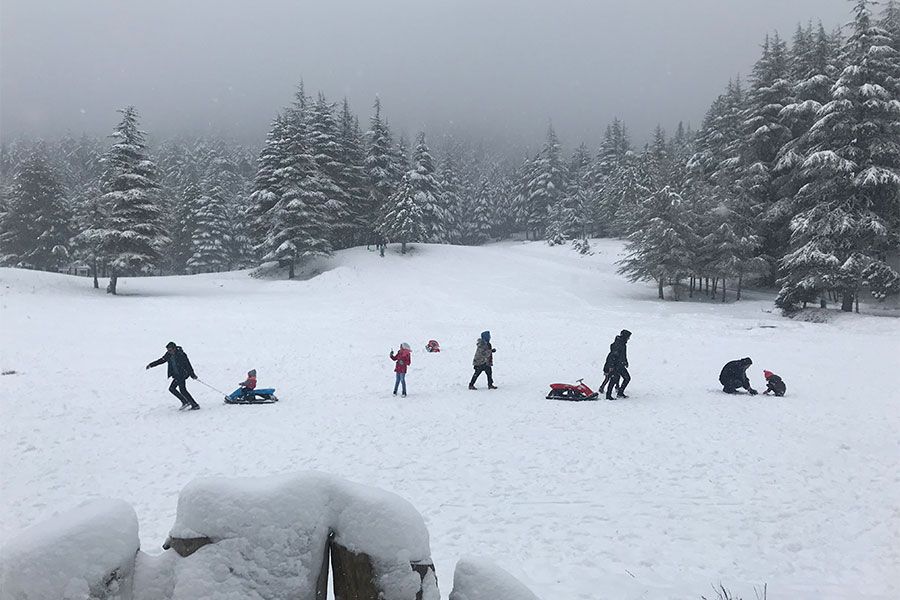 مضمار مزلاجات الثلج